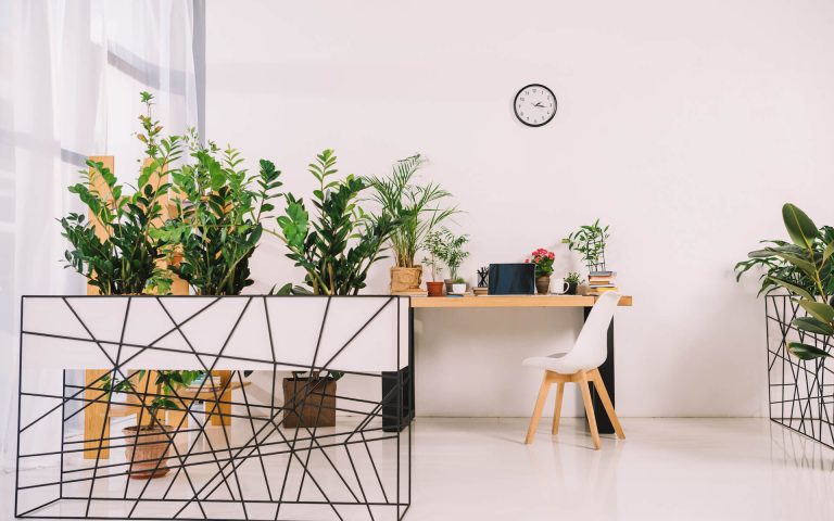 interior-of-business-office-with-green-potted-plan-2021-08-30-19-34-03-utc.jpg interior-of-business-office-with-green-potted-plan-2021-08-30-19-34-03-utc.jpg